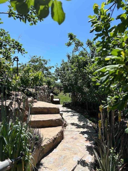 Lilly'S Finca - Romantischter Rueckzugsort - Pool Vilaflor Bagian luar foto