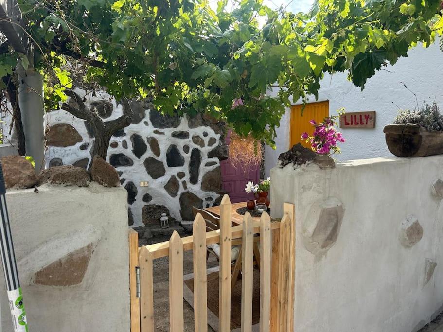 Lilly'S Finca - Romantischter Rueckzugsort - Pool Vilaflor Bagian luar foto