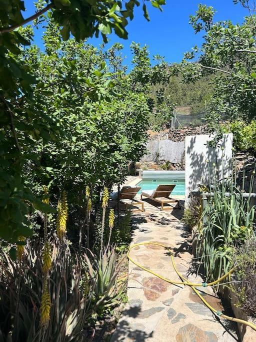 Lilly'S Finca - Romantischter Rueckzugsort - Pool Vilaflor Bagian luar foto