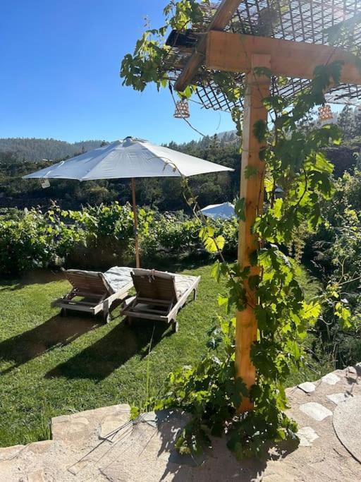 Lilly'S Finca - Romantischter Rueckzugsort - Pool Vilaflor Bagian luar foto